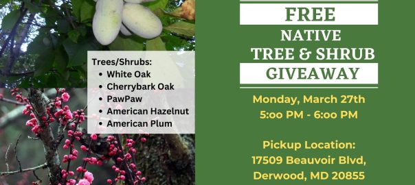 Free Native Tree Giveaway