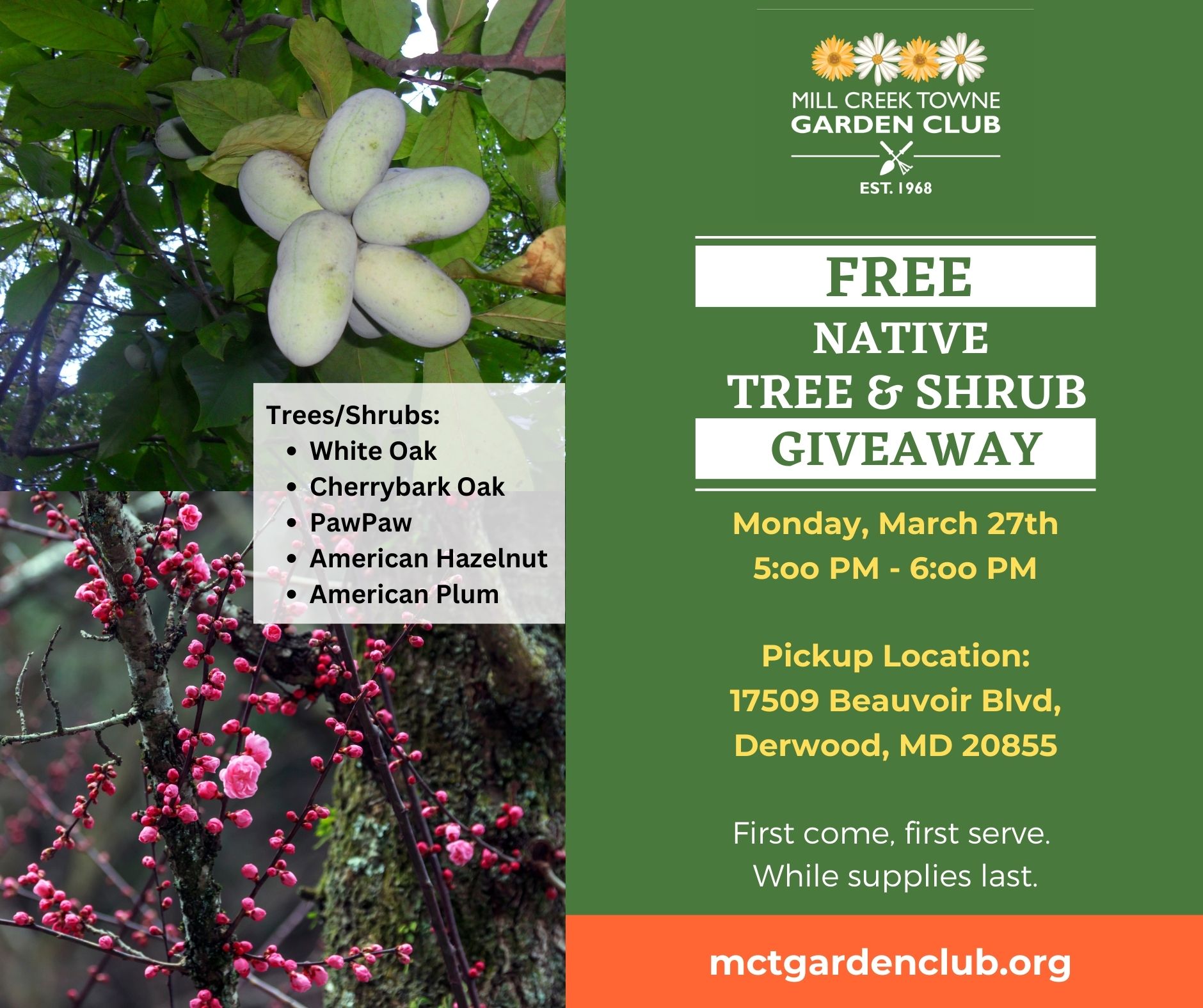 Free Native Tree Giveaway