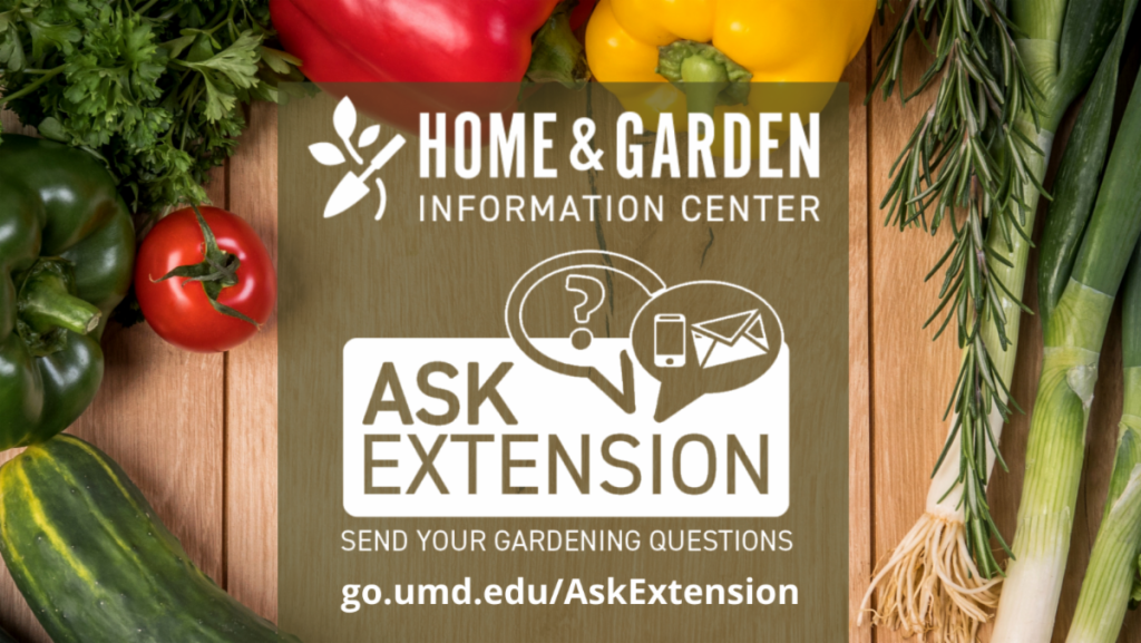 ask-extension-master-gardener-a-question