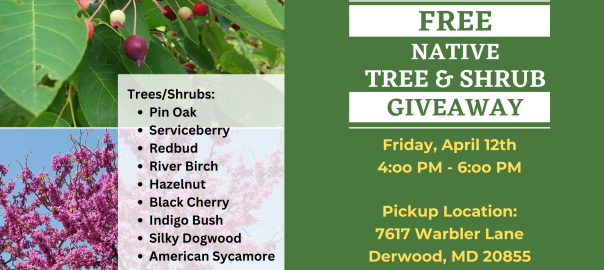 Free Native Tree Giveaway