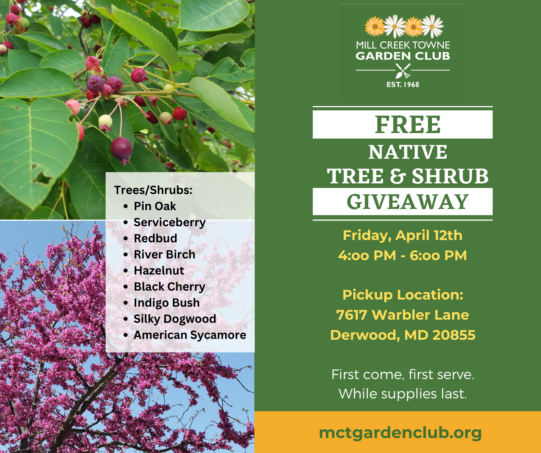 Free Native Tree Giveaway