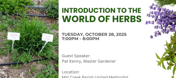 Introduction to the World of Herbs