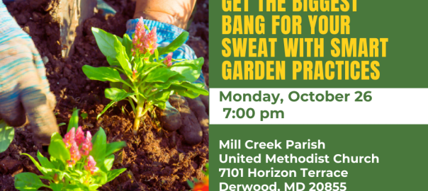 Get the Biggest Bang for Your Sweat with Smart Garden Practices