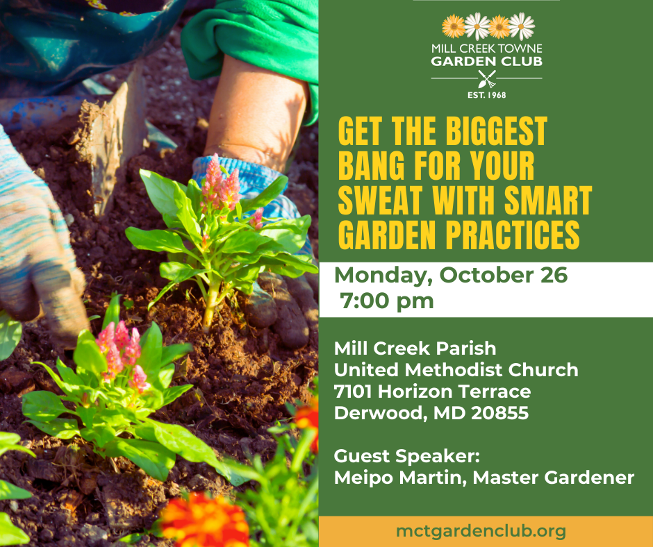 Get the Biggest Bang for Your Sweat with Smart Garden Practices