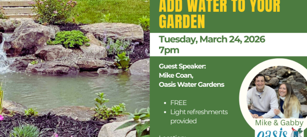 Why You Need to Add Water to Your Garden