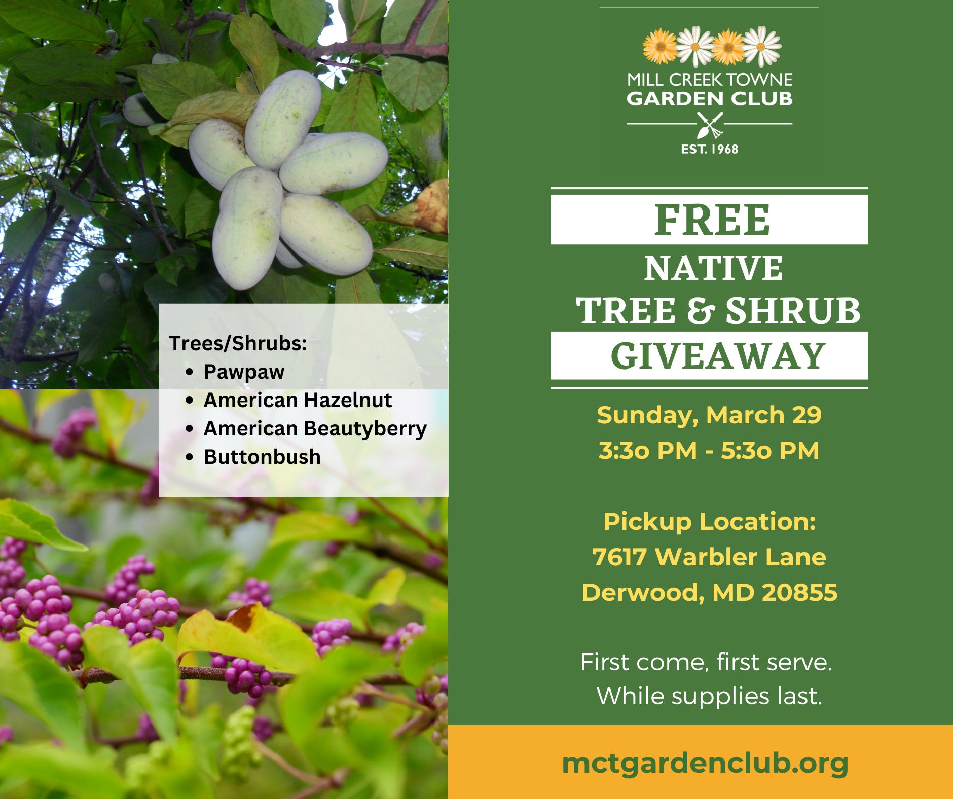 Free Native Tree Giveaway