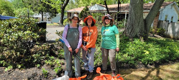 Mill Creek Stream Extreme Cleanup 2026