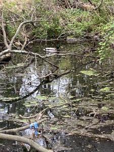 01736F70-ED05-48DF-BB56-948E7267C75B