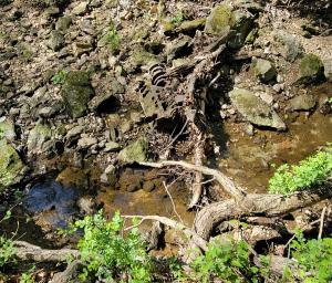 20240420 105054-cropped